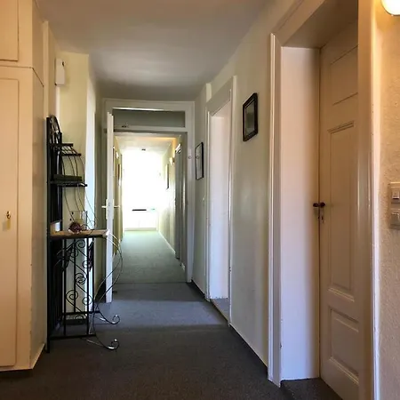 Adler Waldshut-tiengen בית הארחה 3*